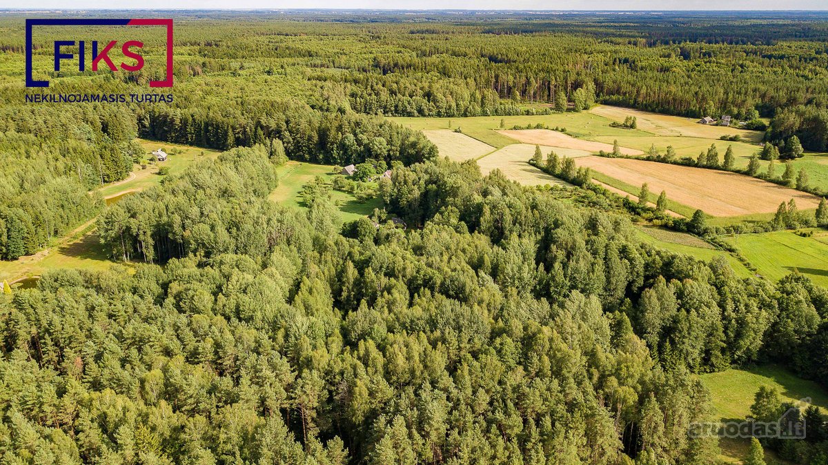 Parduodamas 1,1183 Ha, Žemės Ūkio Paskirties - nuotraukos Nr. 8