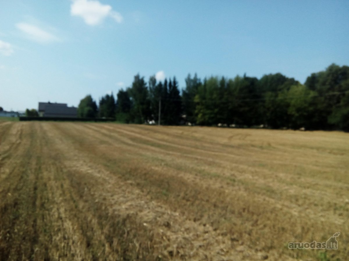 Bendra informacija: - Kaina – 28000 Eur