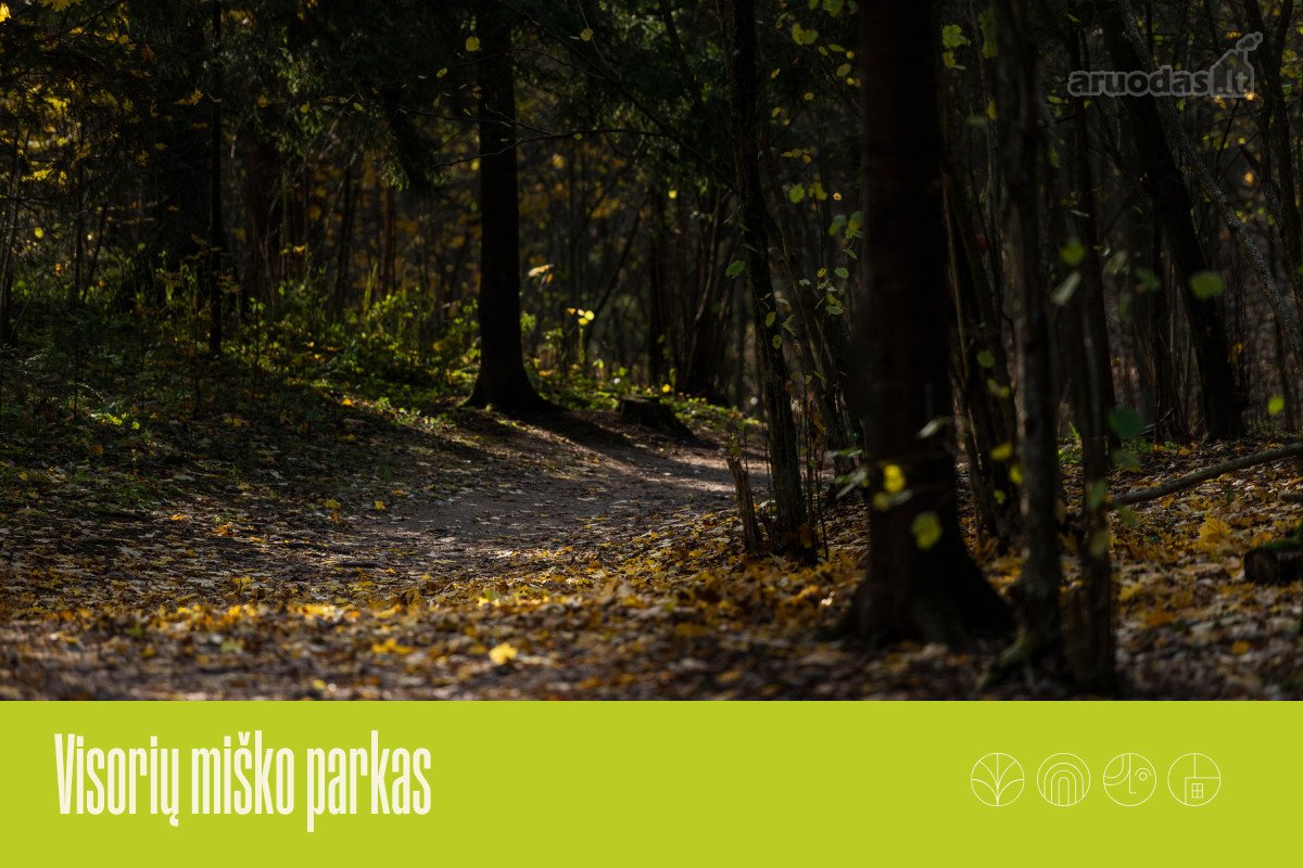 Projektas „Miško sprintas“ – tai namai, - nuotraukos Nr. 26