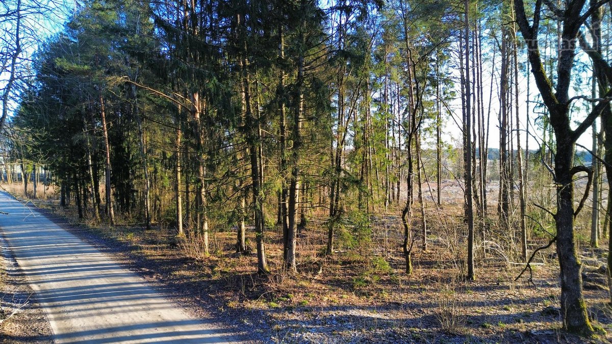 Rudaminos sen., Antupių k. parduodamas 4,58 - nuotraukos Nr. 3