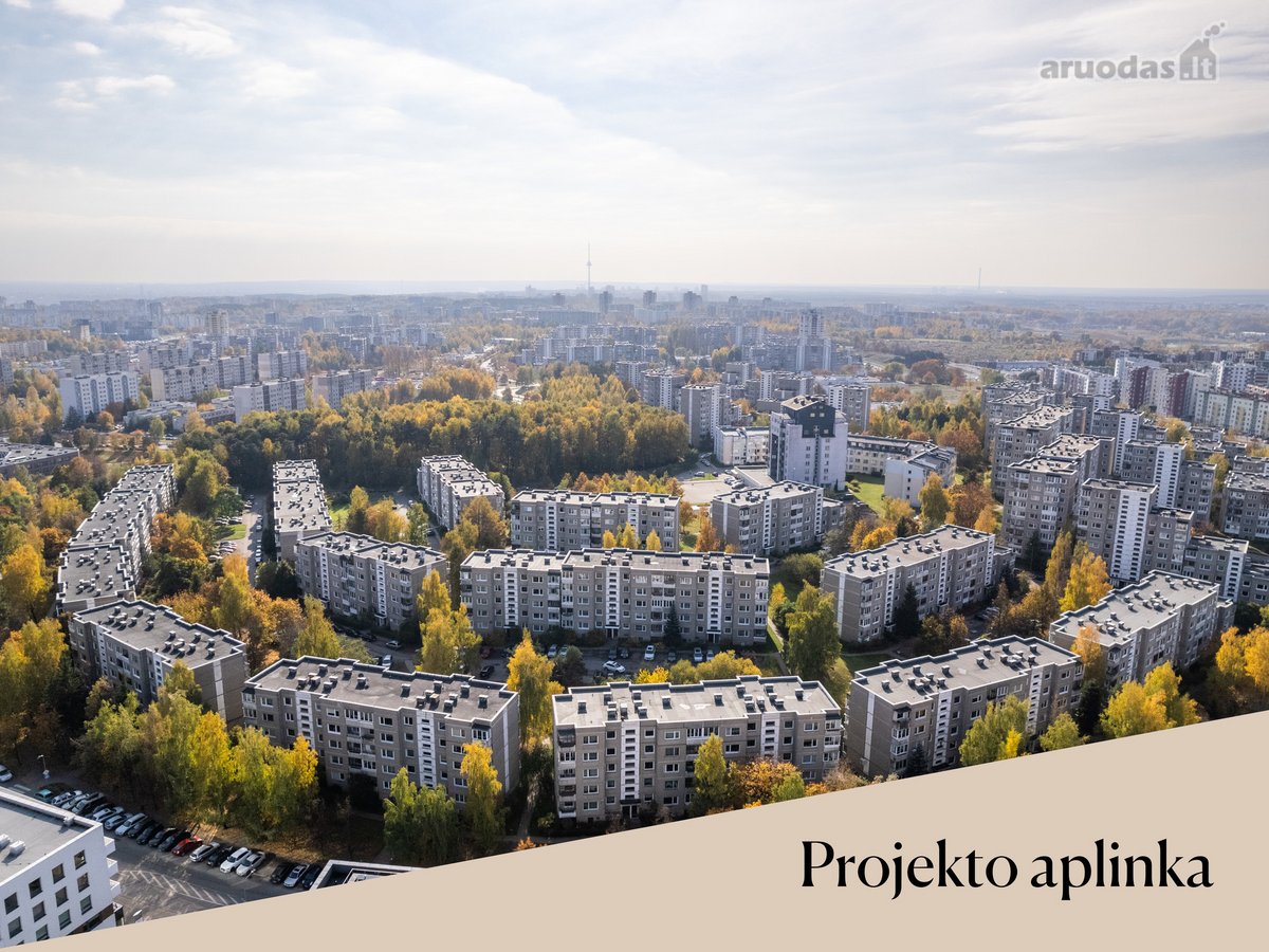 Projekte „Medeinos namai“, žaliuojančiuose - nuotraukos Nr. 22