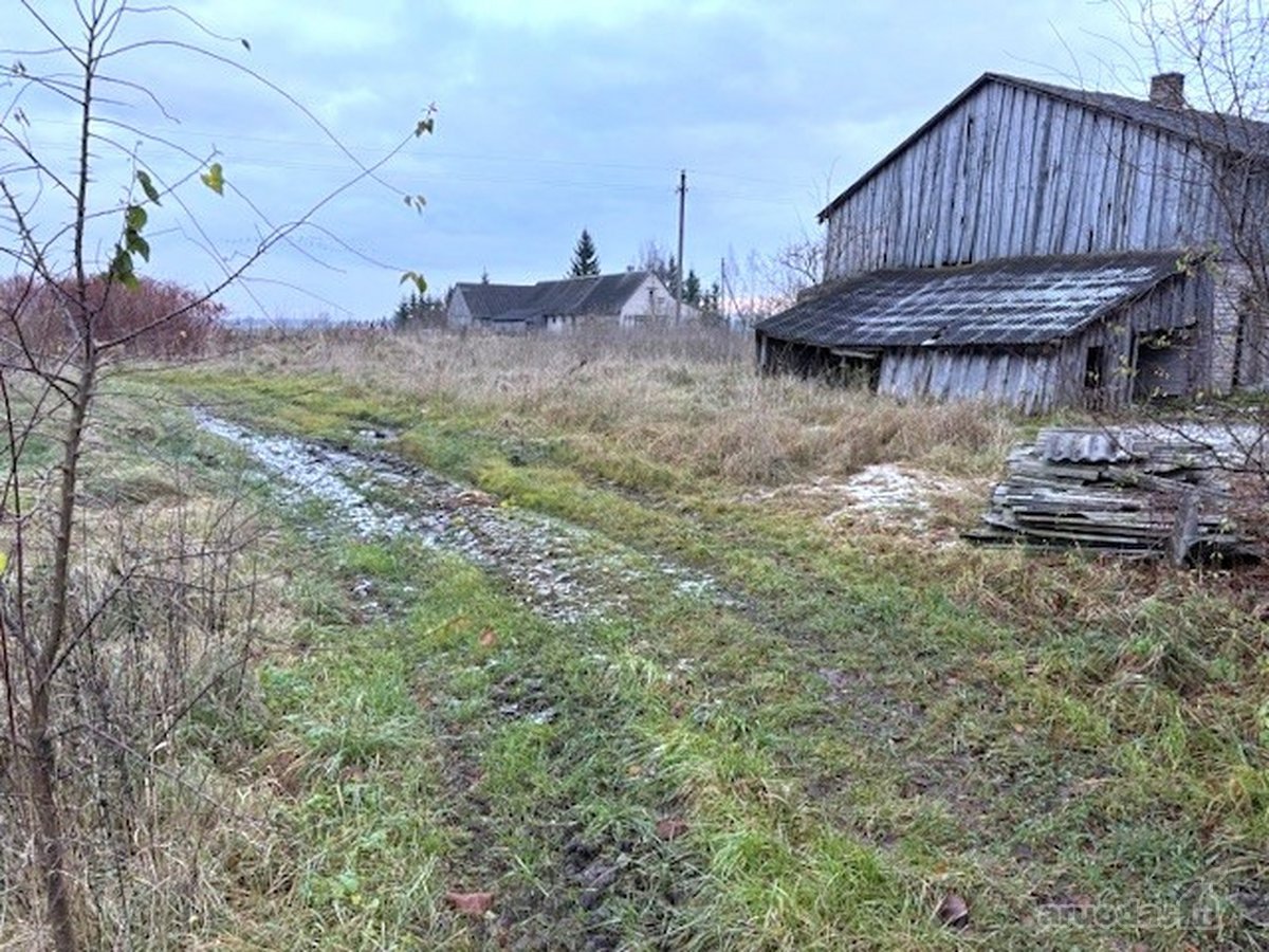 2 kambarių butas su dalimi pagalbinio ūkio - nuotraukos Nr. 14