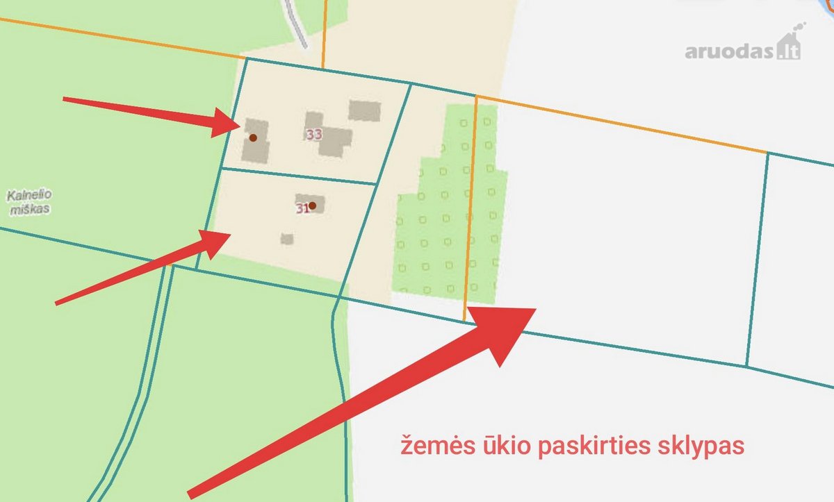 Krekenavos regioniniame parke, šalia miško, - nuotraukos Nr. 32