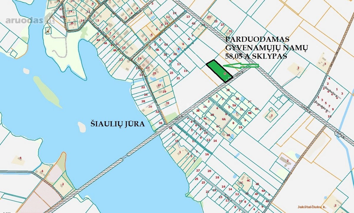 Sauginiuose, Tilto G., Netoliese Nuo Šiaulių