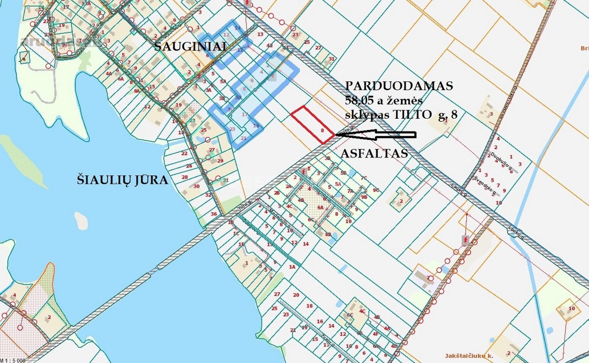 Sauginiuose, Tilto G., Netoliese Nuo Šiaulių - nuotraukos Nr. 3
