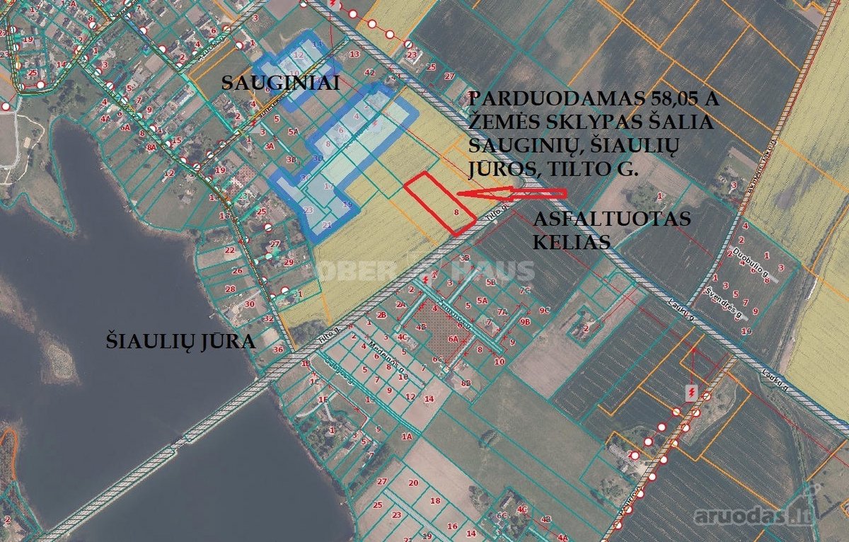 Sauginiuose, Tilto G., Netoliese Nuo Šiaulių - nuotraukos Nr. 4