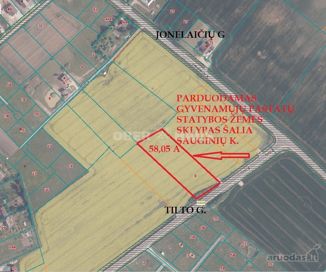Sauginiuose, Tilto G., Netoliese Nuo Šiaulių