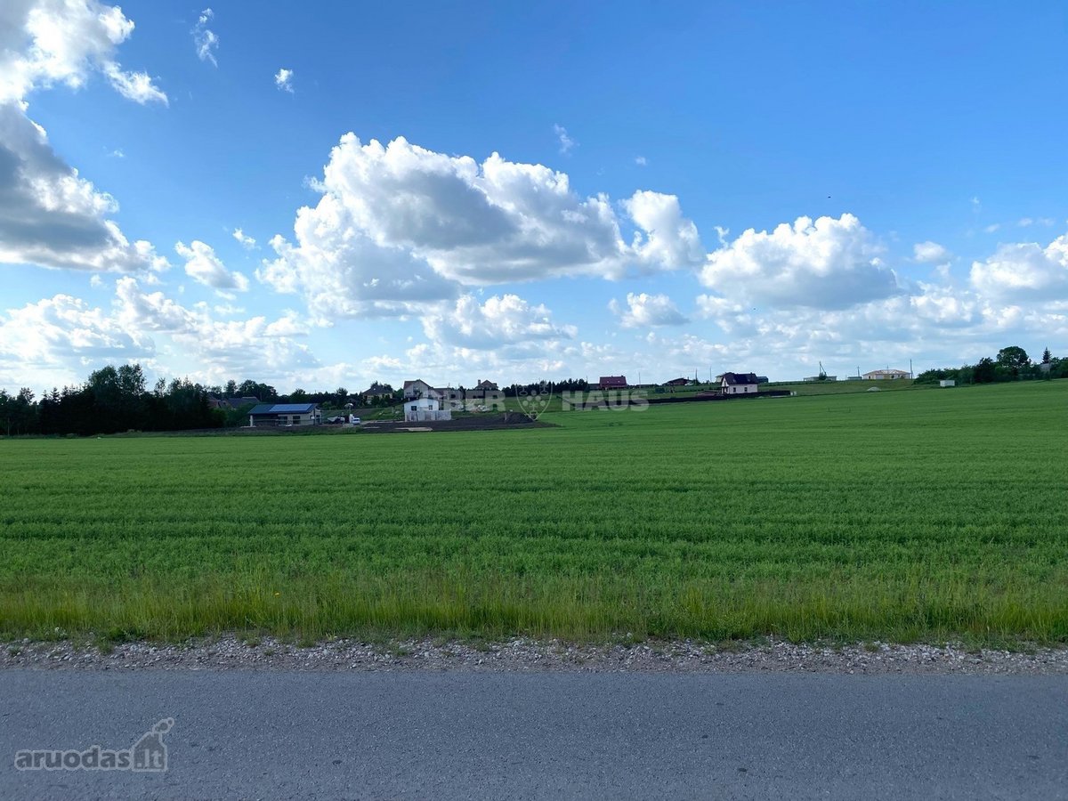 Sauginiuose, Tilto G., Netoliese Nuo Šiaulių - nuotraukos Nr. 5