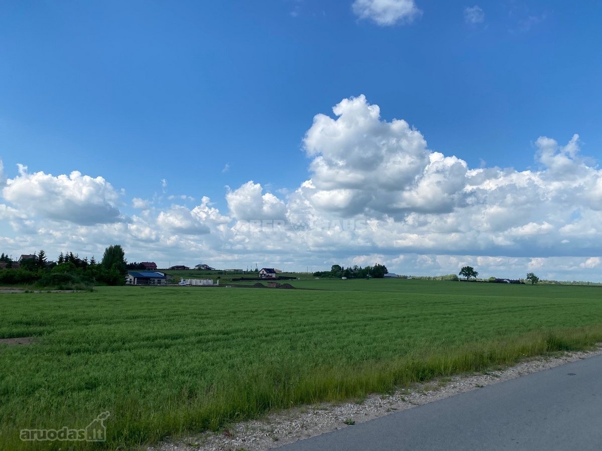 Sauginiuose, Tilto G., Netoliese Nuo Šiaulių - nuotraukos Nr. 6
