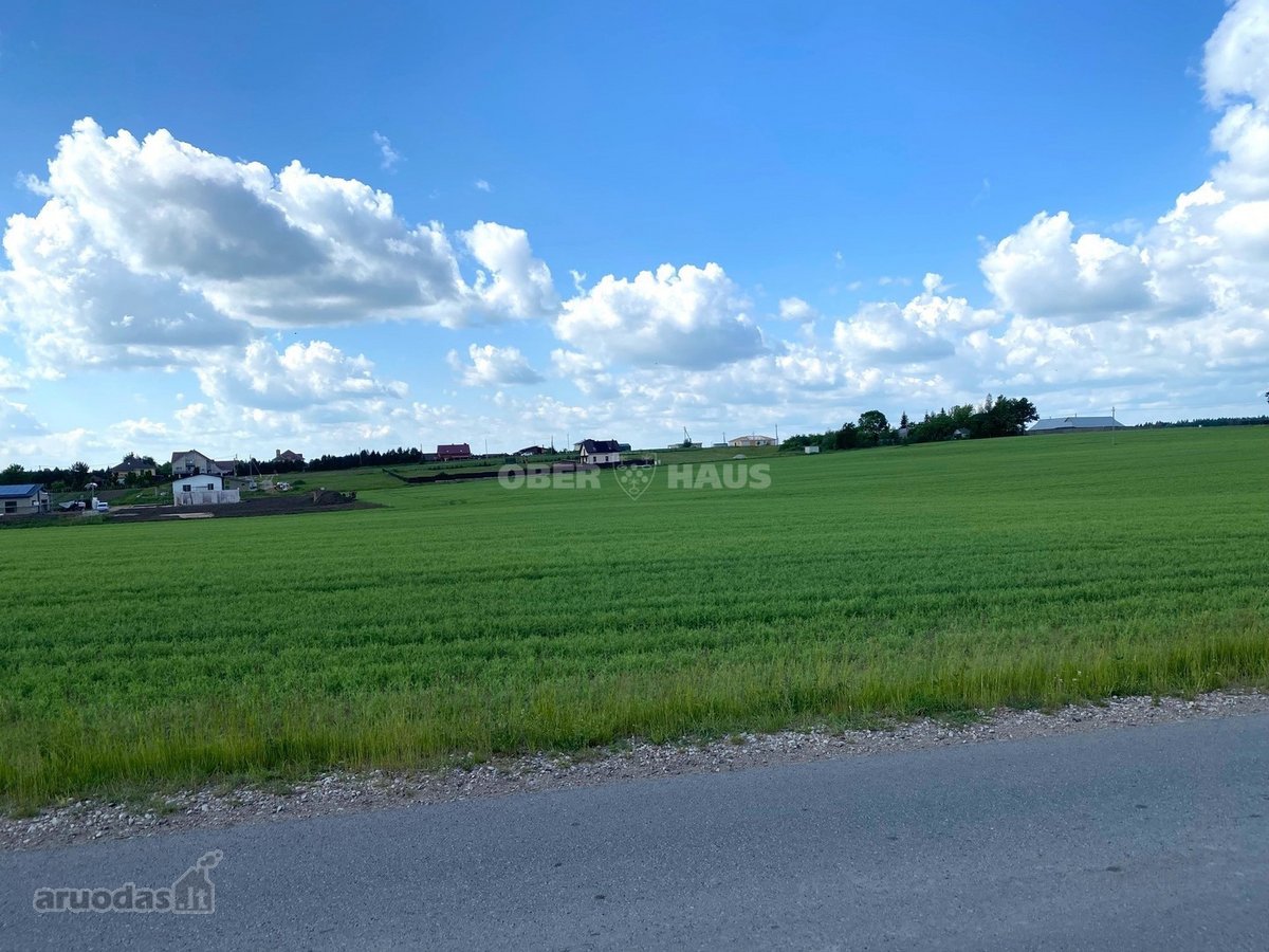 Sauginiuose, Tilto G., Netoliese Nuo Šiaulių - nuotraukos Nr. 7