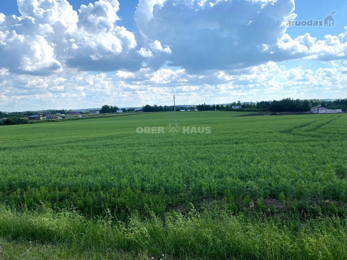 Sauginiuose, Tilto G., Netoliese Nuo Šiaulių - nuotraukos Nr. 8