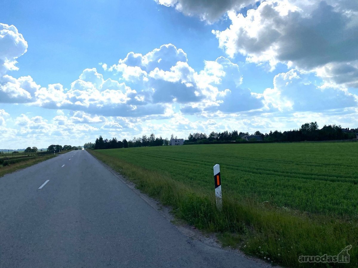 Sauginiuose, Tilto G., Netoliese Nuo Šiaulių - nuotraukos Nr. 9