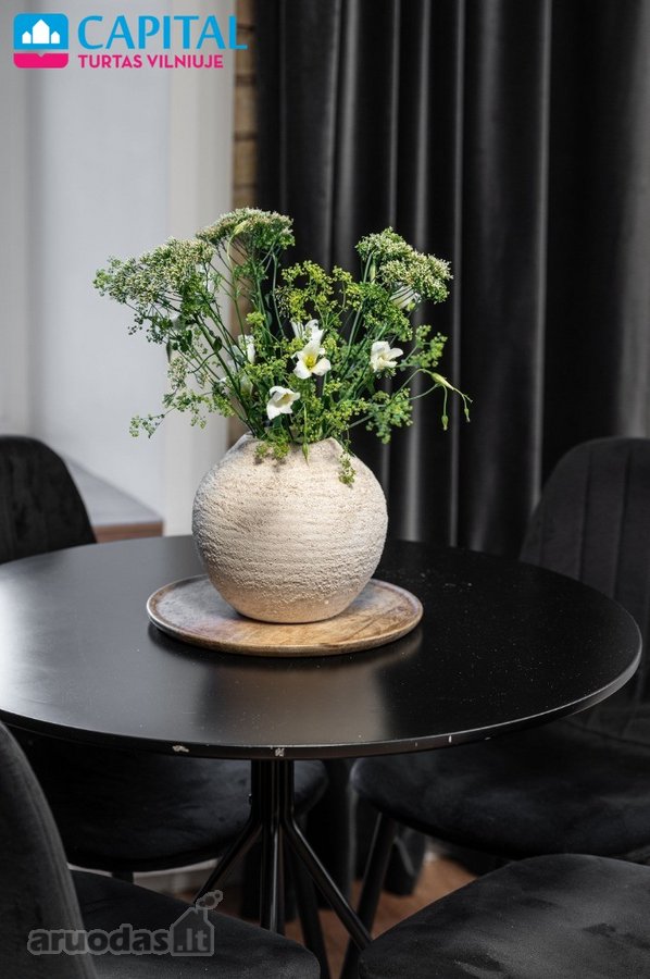 Parduodamas Jaukus Ir Stilingas 2 Kambarių - nuotraukos Nr. 19