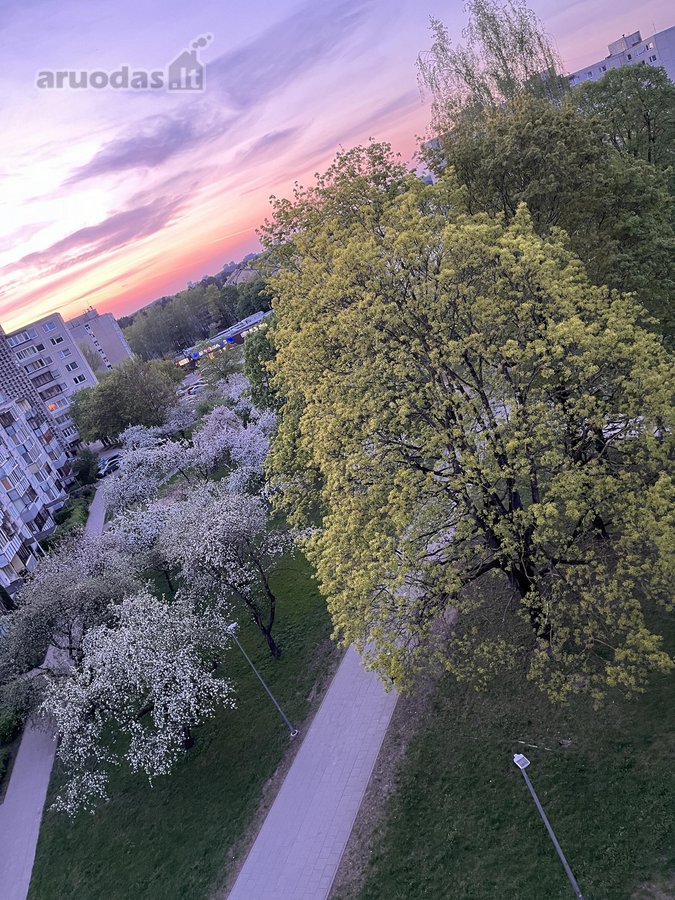 Nuo lapkričio 1D. Išnuomojamas patogiai ir - nuotraukos Nr. 18