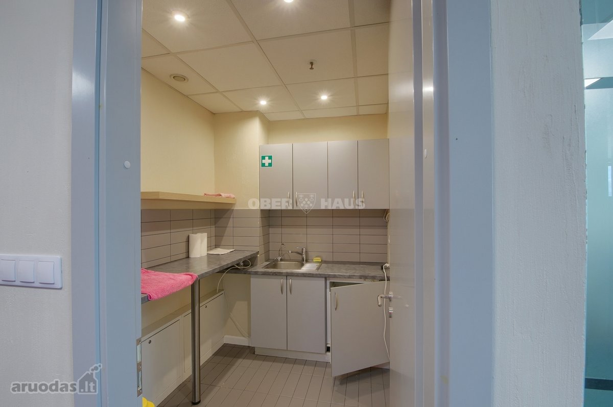 Išnuomojamos labai gerai įrengtos 169.07 m² - nuotraukos Nr. 12