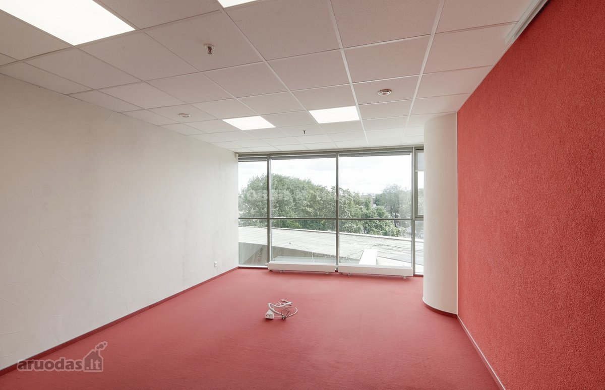 Išnuomojamos labai gerai įrengtos 169.07 m² - nuotraukos Nr. 13