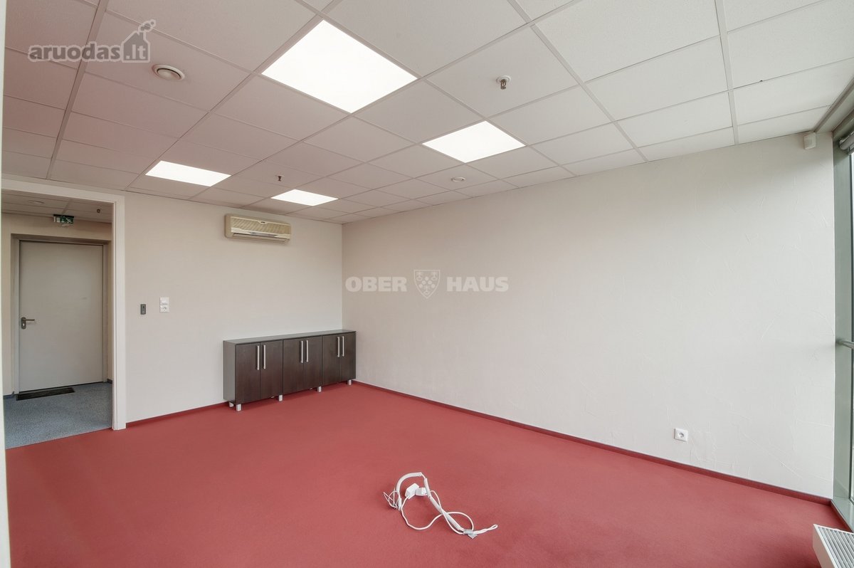Išnuomojamos labai gerai įrengtos 169.07 m² - nuotraukos Nr. 14