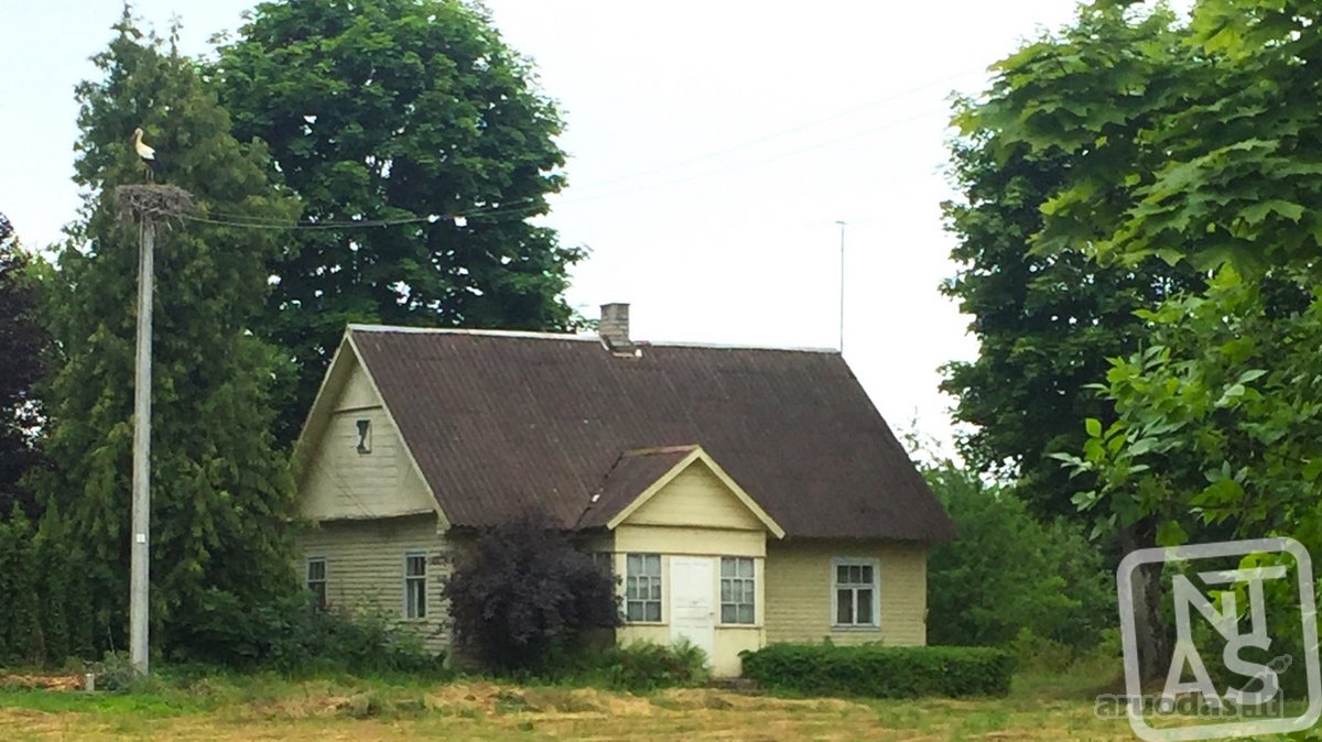Patogiai Greitkeliu Pasiekiama, Tvenkinio