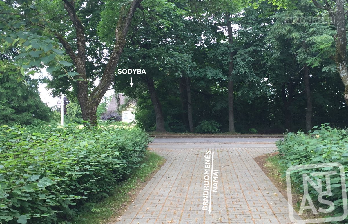 Patogiai Greitkeliu Pasiekiama, Tvenkinio - nuotraukos Nr. 23