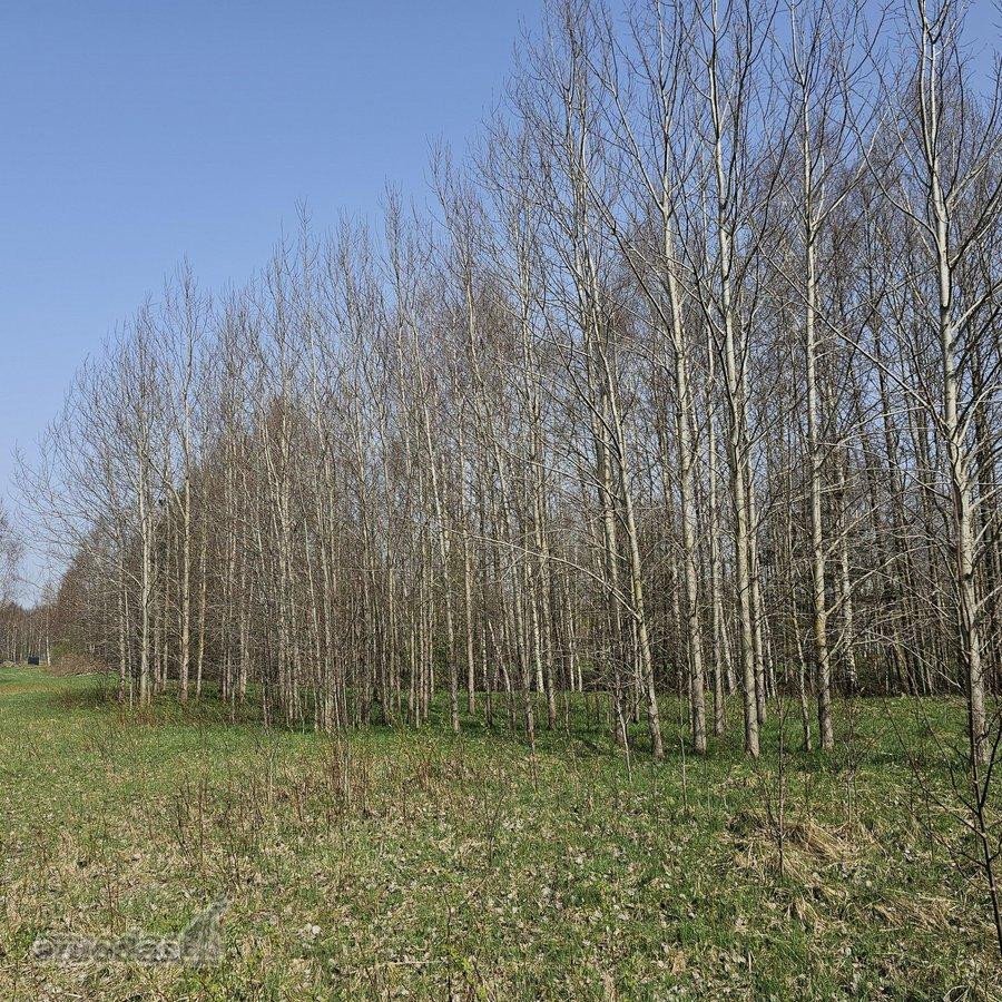 Ieškote vietos savo būstui ar poilsiui gamtos - nuotraukos Nr. 3