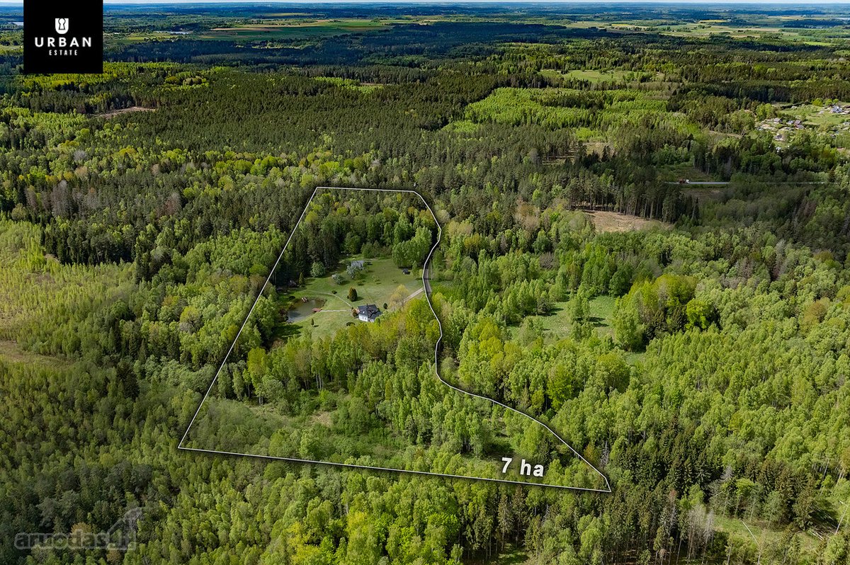 Unikali ramybės oazė apsupta Graužių miško, - nuotraukos Nr. 27