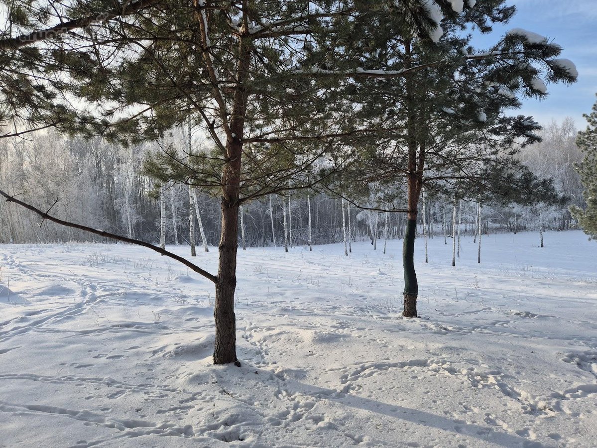 Parduodami 6 išskirtiniai namų valdos sklypai - nuotraukos Nr. 42