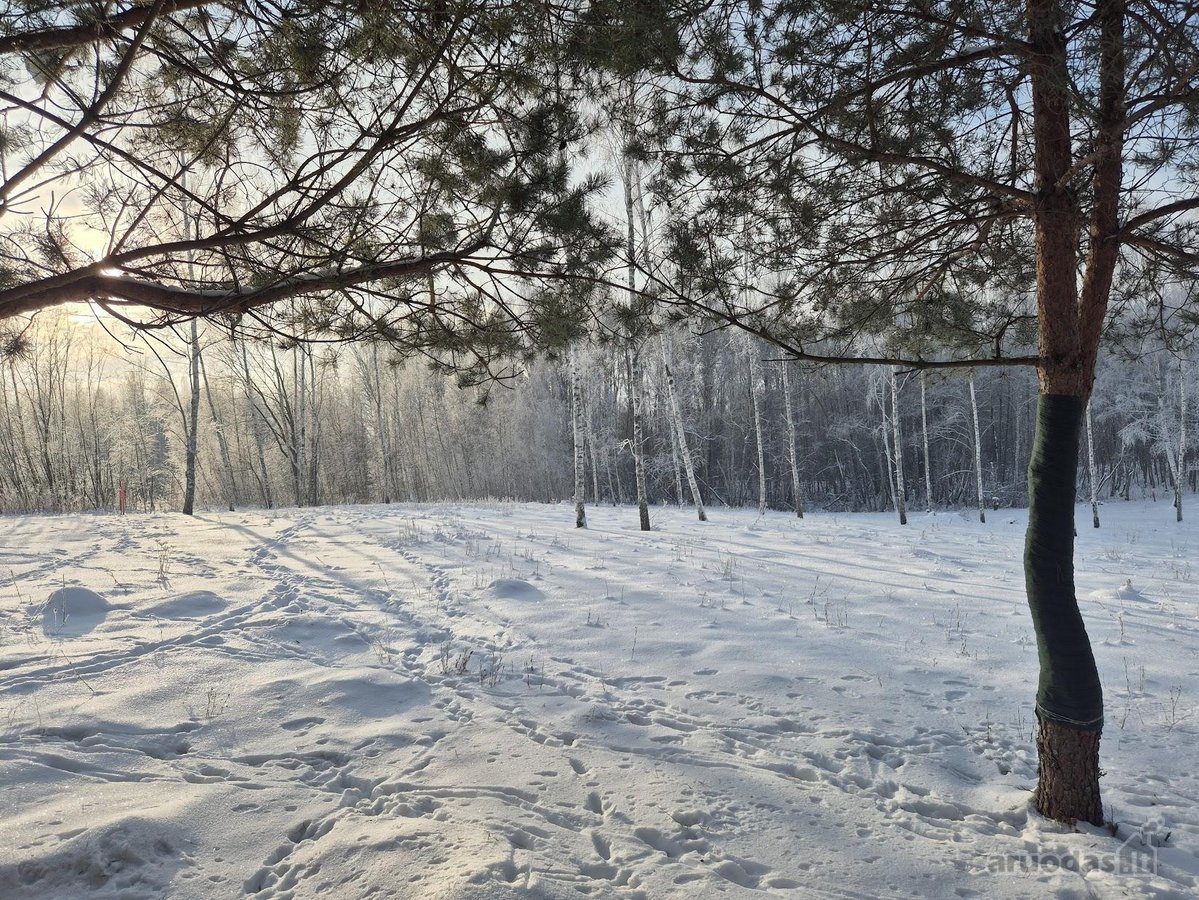 Parduodami 6 išskirtiniai namų valdos sklypai - nuotraukos Nr. 48