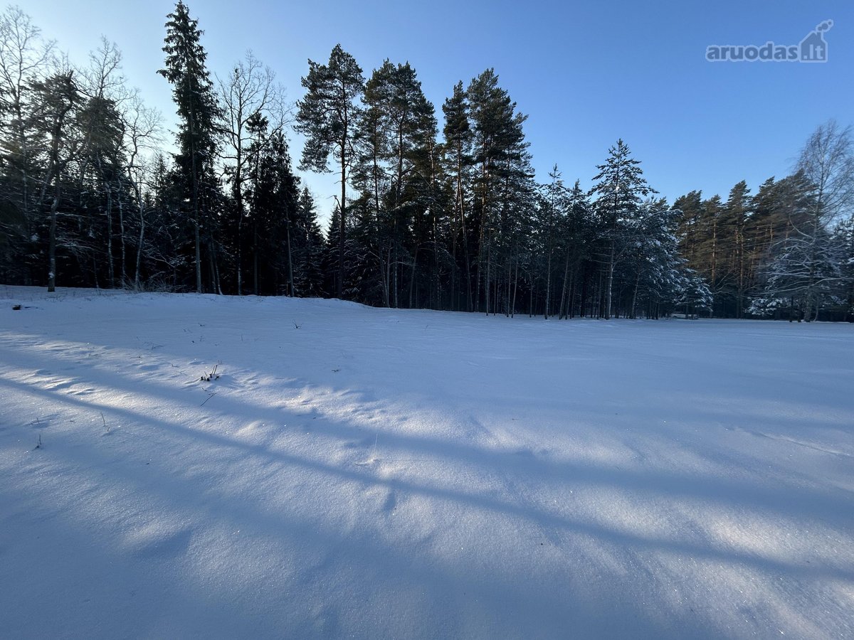 Bendras plotas 2,3802ha, miško paskirties 0 - nuotraukos Nr. 7