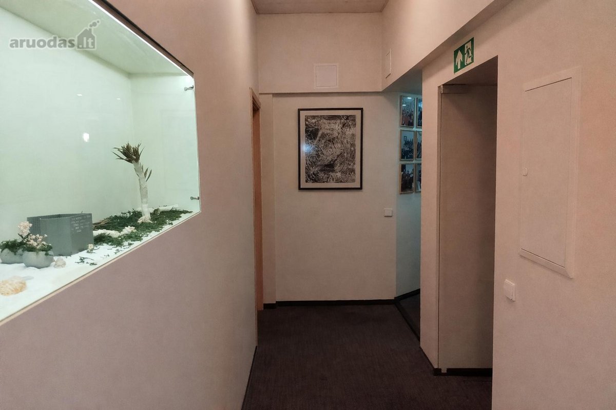 Išskirtinėms Kompanijoms. Ne Standartiniam - nuotraukos Nr. 19