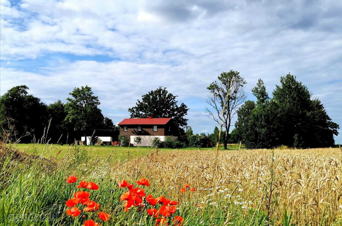 Sveiki, be tarpininkų parduodama nuostabi - nuotraukos Nr. 4