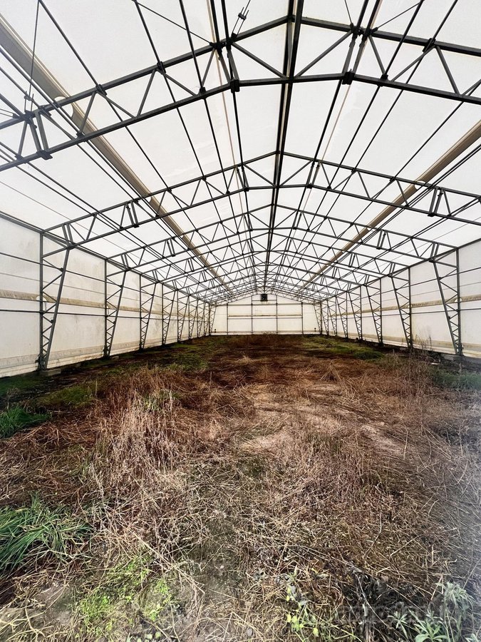 Parduodamas žemės 1.2ha sklypas su 4 pastatais:  - nuotraukos Nr. 14