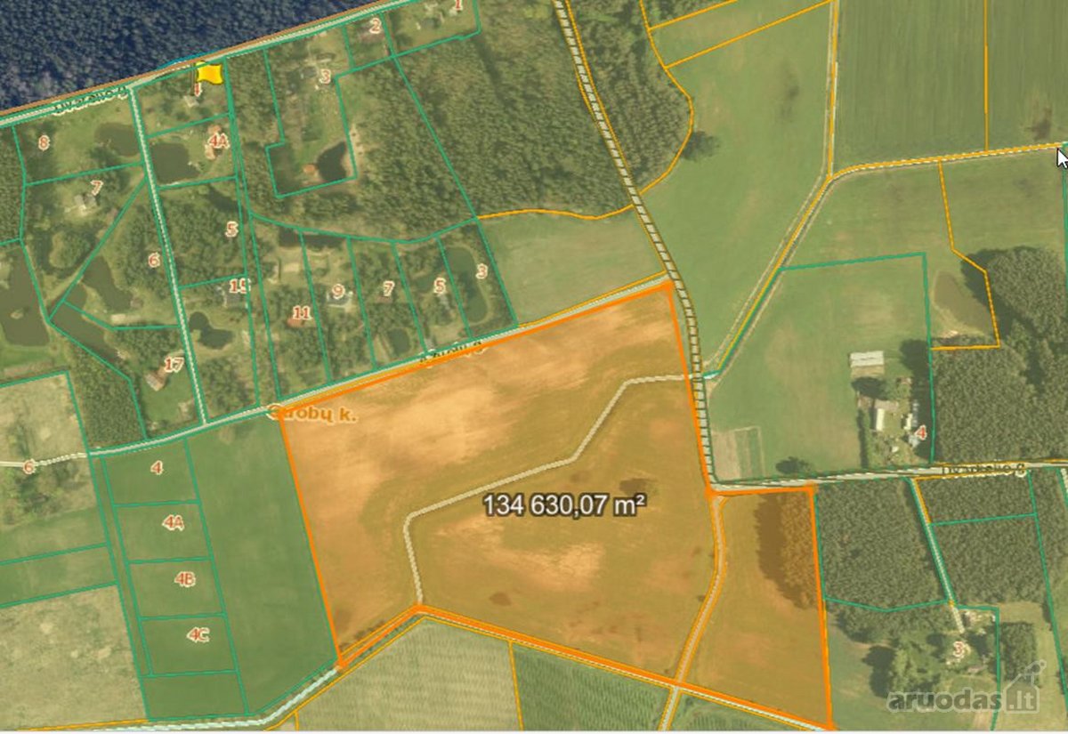 1 ha 8000,00 Eur Vaizdingoje vietoje