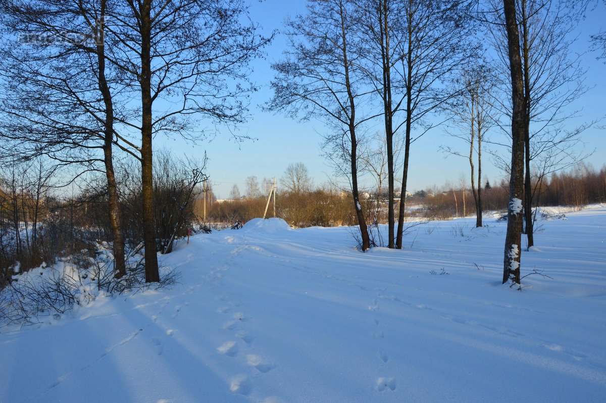 Vilniaus r. sav., Nemėžio sen., Skaidiškių k. - nuotraukos Nr. 21