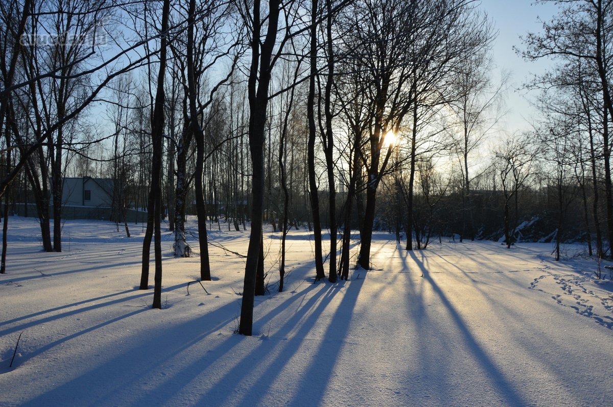 Vilniaus r. sav., Nemėžio sen., Skaidiškių k. - nuotraukos Nr. 3