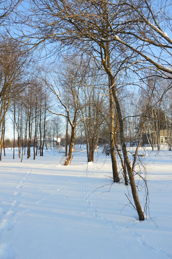 Vilniaus r. sav., Nemėžio sen., Skaidiškių k. - nuotraukos Nr. 18