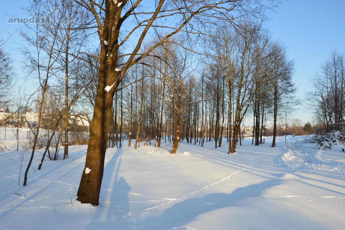 Vilniaus r. sav., Nemėžio sen., Skaidiškių k. - nuotraukos Nr. 20