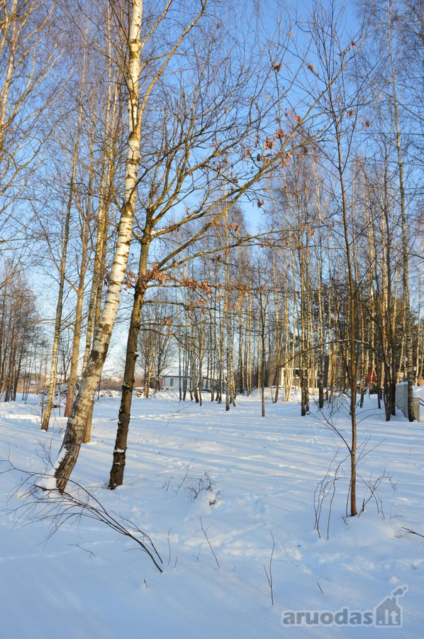 Vilniaus r. sav., Nemėžio sen., Skaidiškių k. - nuotraukos Nr. 9