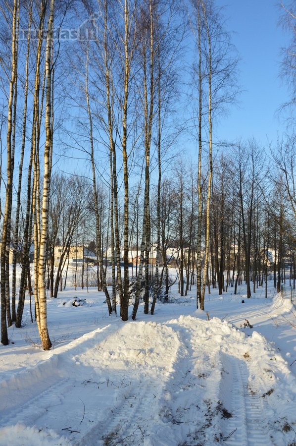 Vilniaus r. sav., Nemėžio sen., Skaidiškių k. - nuotraukos Nr. 7