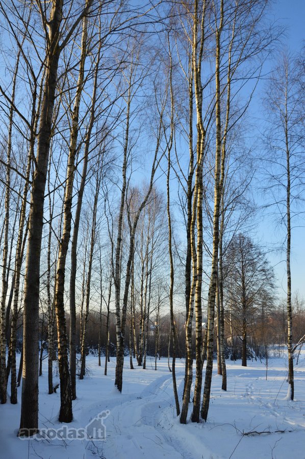 Vilniaus r. sav., Nemėžio sen., Skaidiškių k. - nuotraukos Nr. 21