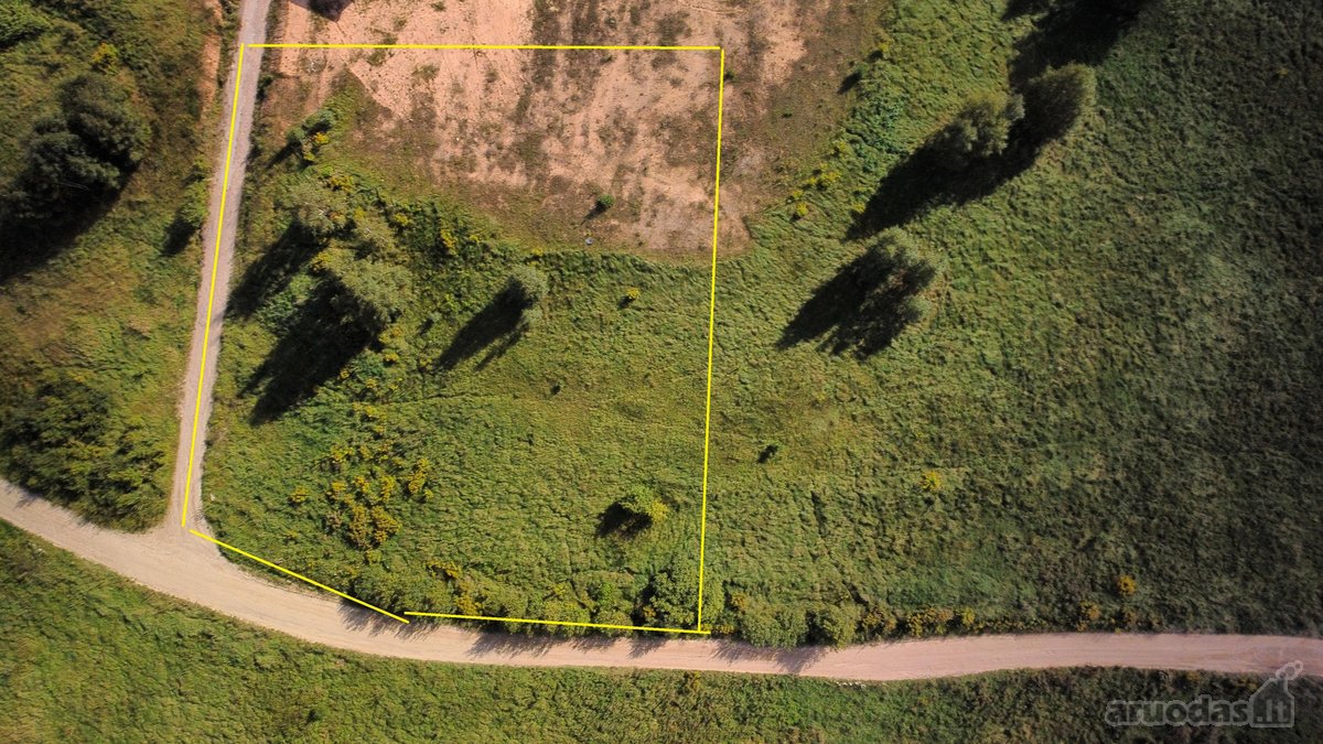 Vilniaus r. sav., Avižienių sen., Pikutiškės, - nuotraukos Nr. 10