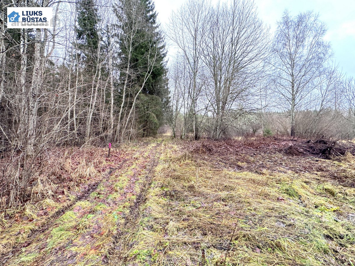 Parduodama sodyba su 10.5 ha sklypu, gražiame - nuotraukos Nr. 21