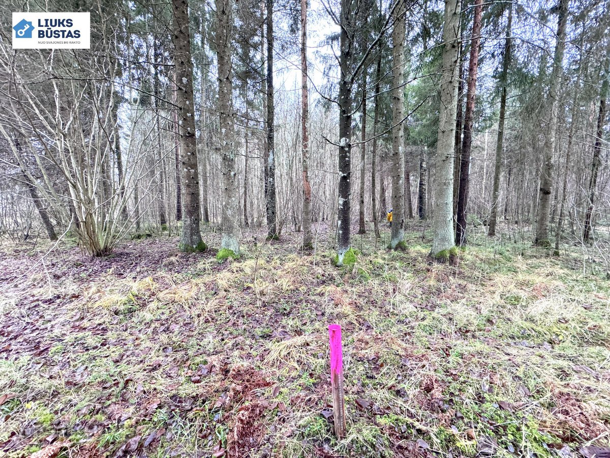 Parduodama sodyba su 10.5 ha sklypu, gražiame - nuotraukos Nr. 22