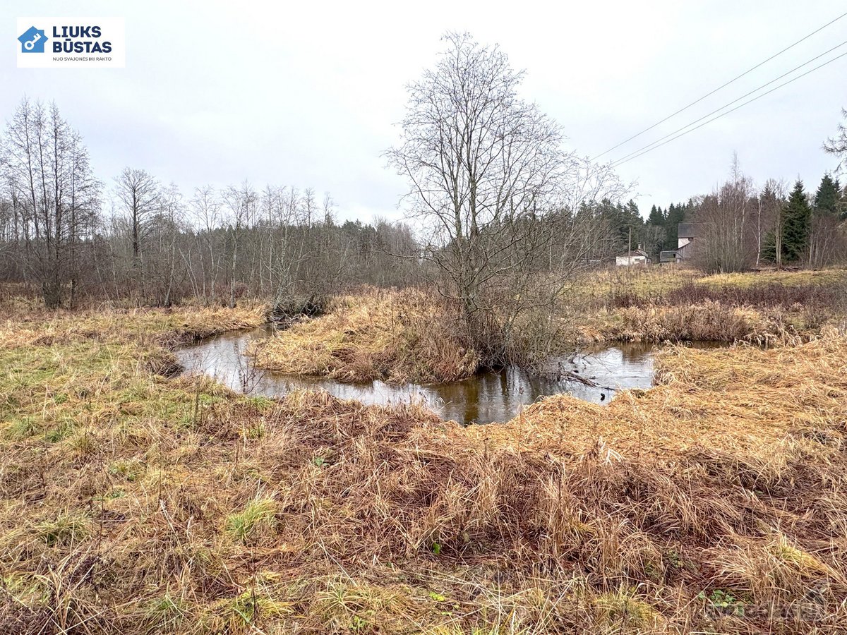 Parduodama sodyba su 10.5 ha sklypu, gražiame - nuotraukos Nr. 25