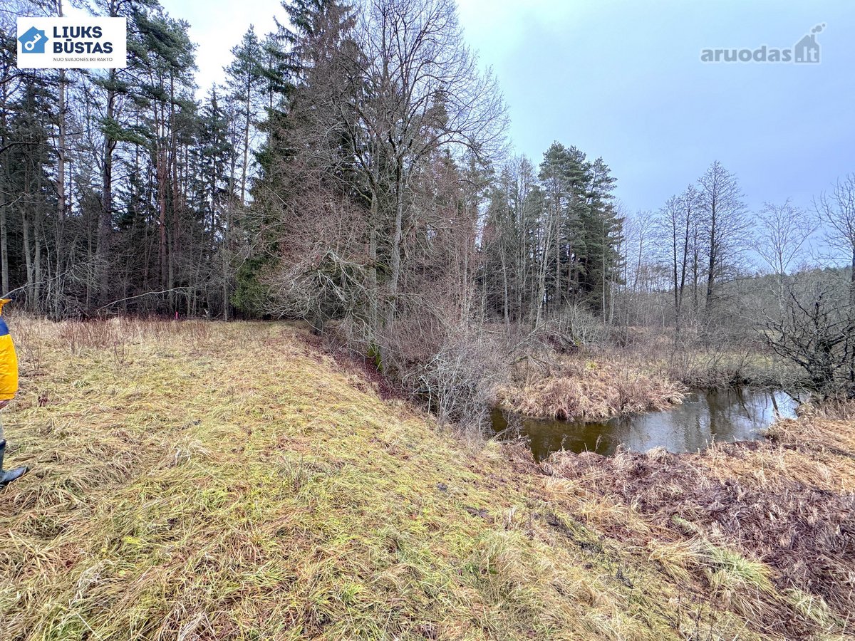 Parduodama sodyba su 10.5 ha sklypu, gražiame - nuotraukos Nr. 26