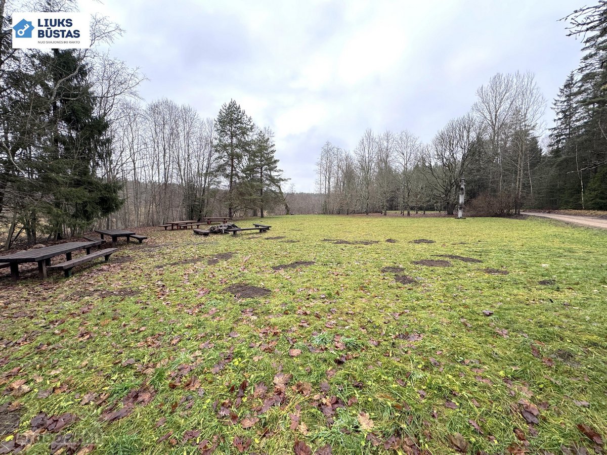 Parduodama sodyba su 10.5 ha sklypu, gražiame - nuotraukos Nr. 32
