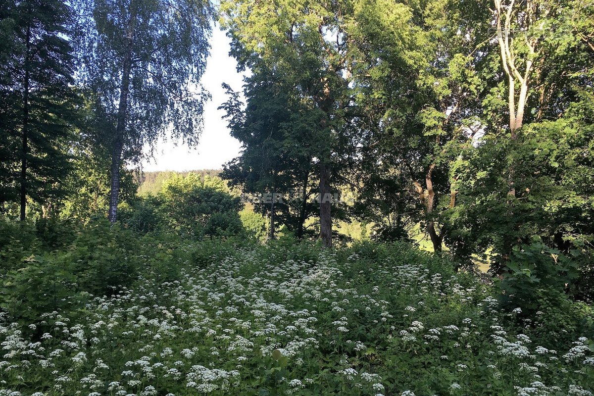 Parduodamas 322 A Sklypų Masyvas Vilniaus Raj - nuotraukos Nr. 6