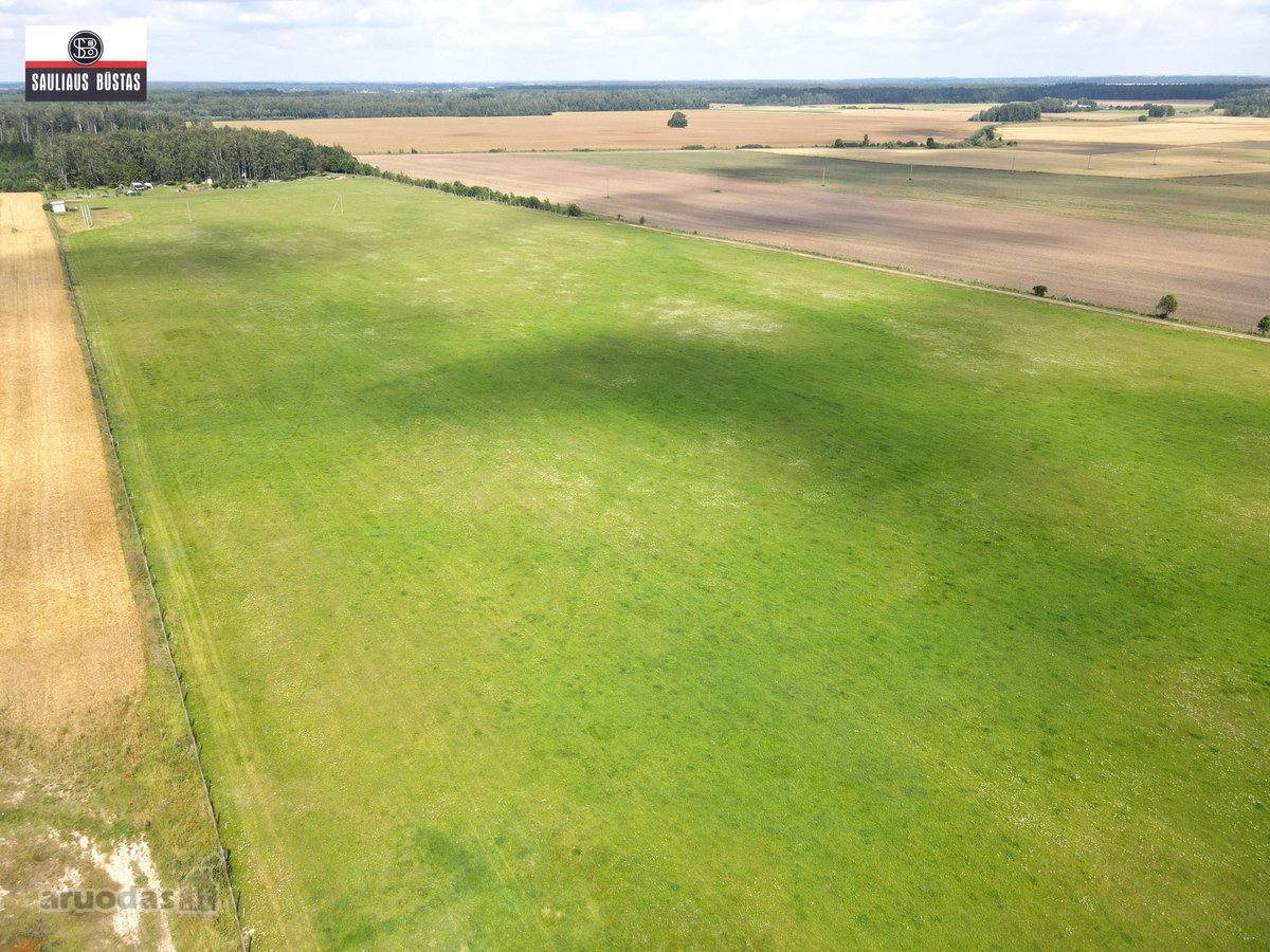 Parduodamas išskirtinio grožio 13,1588 ha - nuotraukos Nr. 20
