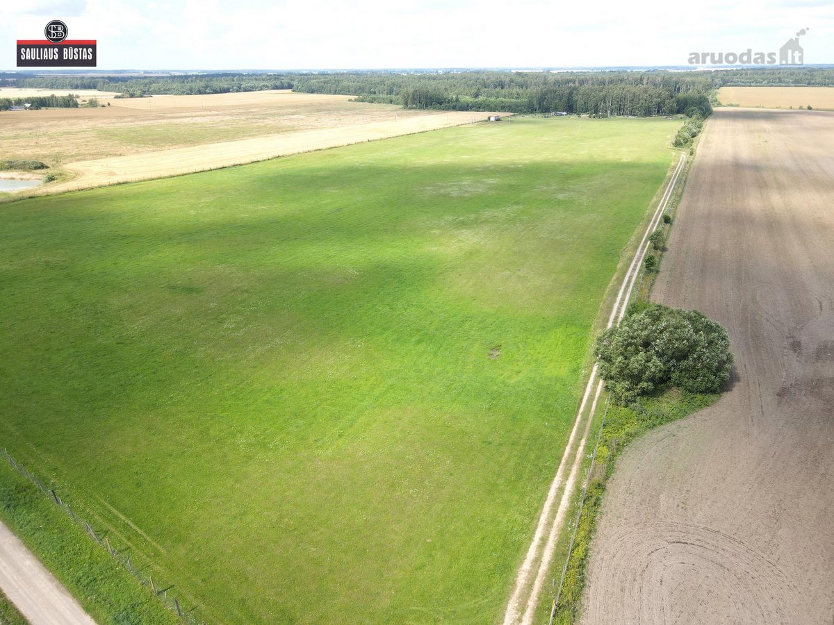 Parduodamas išskirtinio grožio 13,1588 ha - nuotraukos Nr. 21