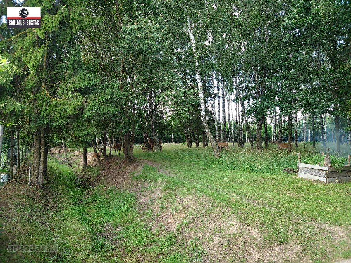 Parduodamas išskirtinio grožio 13,1588 ha - nuotraukos Nr. 23