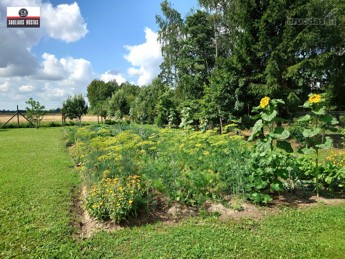 Parduodamas išskirtinio grožio 13,1588 ha - nuotraukos Nr. 26